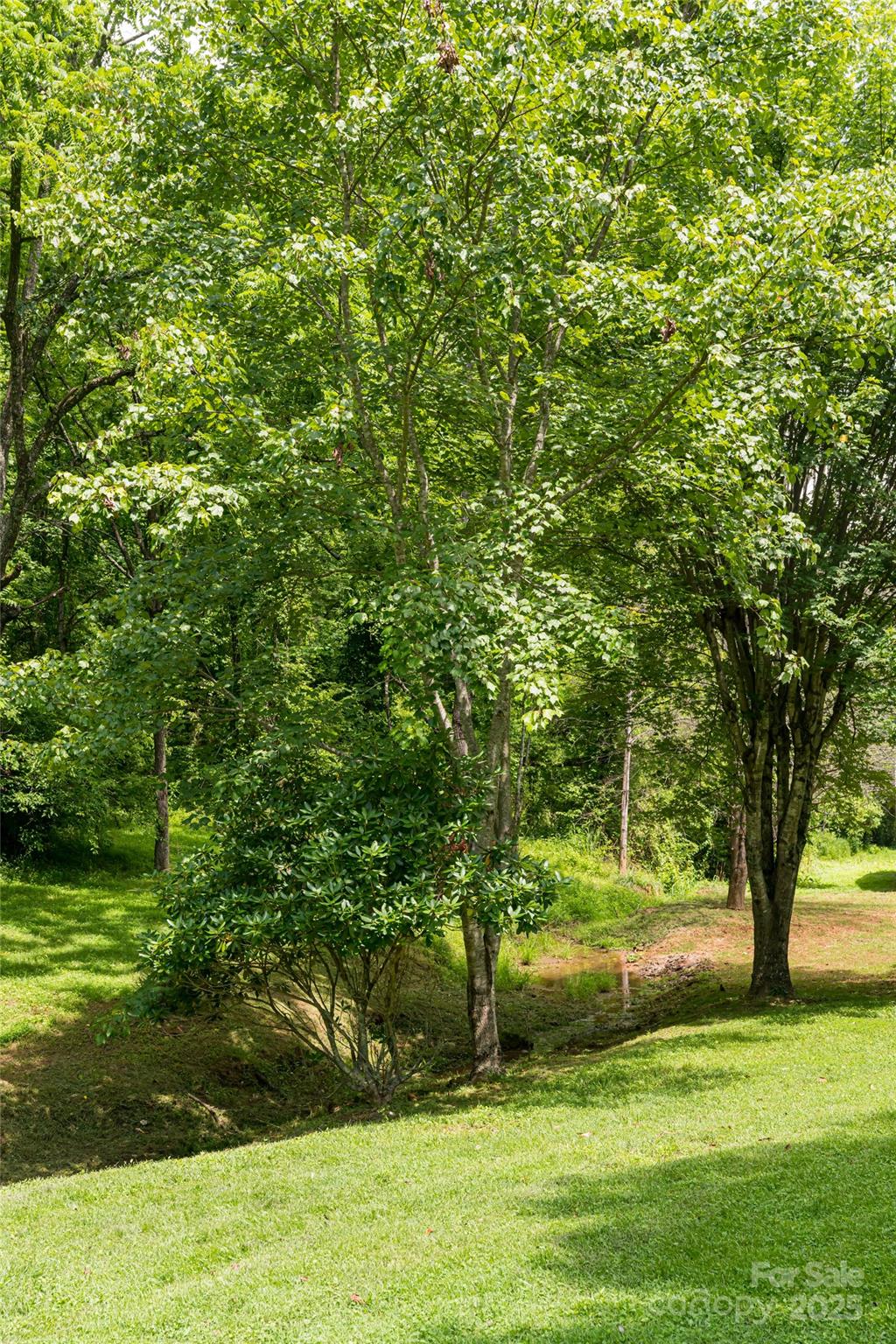 Weaverville, North Carolina, 28787, United States, 3 Bedrooms Bedrooms, ,2 BathroomsBathrooms,Residential,Active,1892411