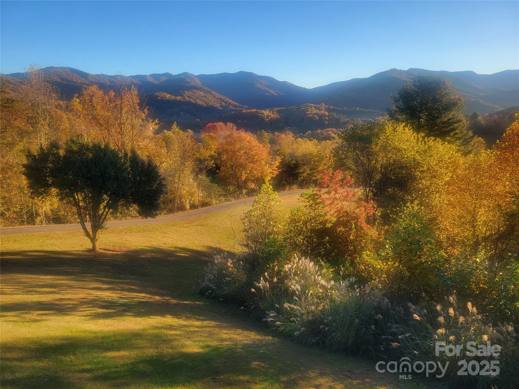 Barnardsville, North Carolina, 28709, United States, ,4 BathroomsBathrooms,Residential,Active,1770043