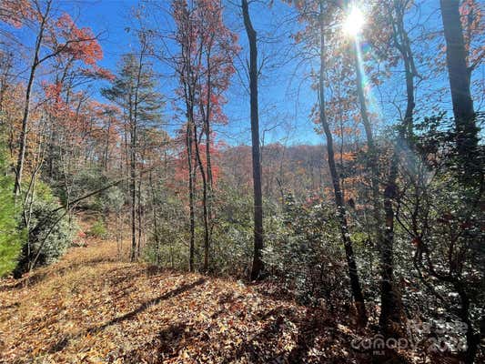 LOT 134 GREEN HOLLOW LANE # 134, BREVARD, NC 28712, photo 4 of 17