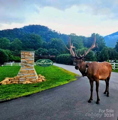 21 KENNERLY CV, MAGGIE VALLEY, NC 28751, photo 4 of 45