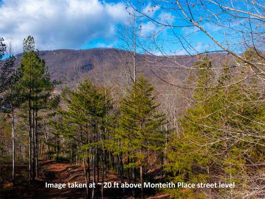 LOT 29 DEEP GAP FARM ROAD E, MILL SPRING, NC 28756, photo 2 of 14