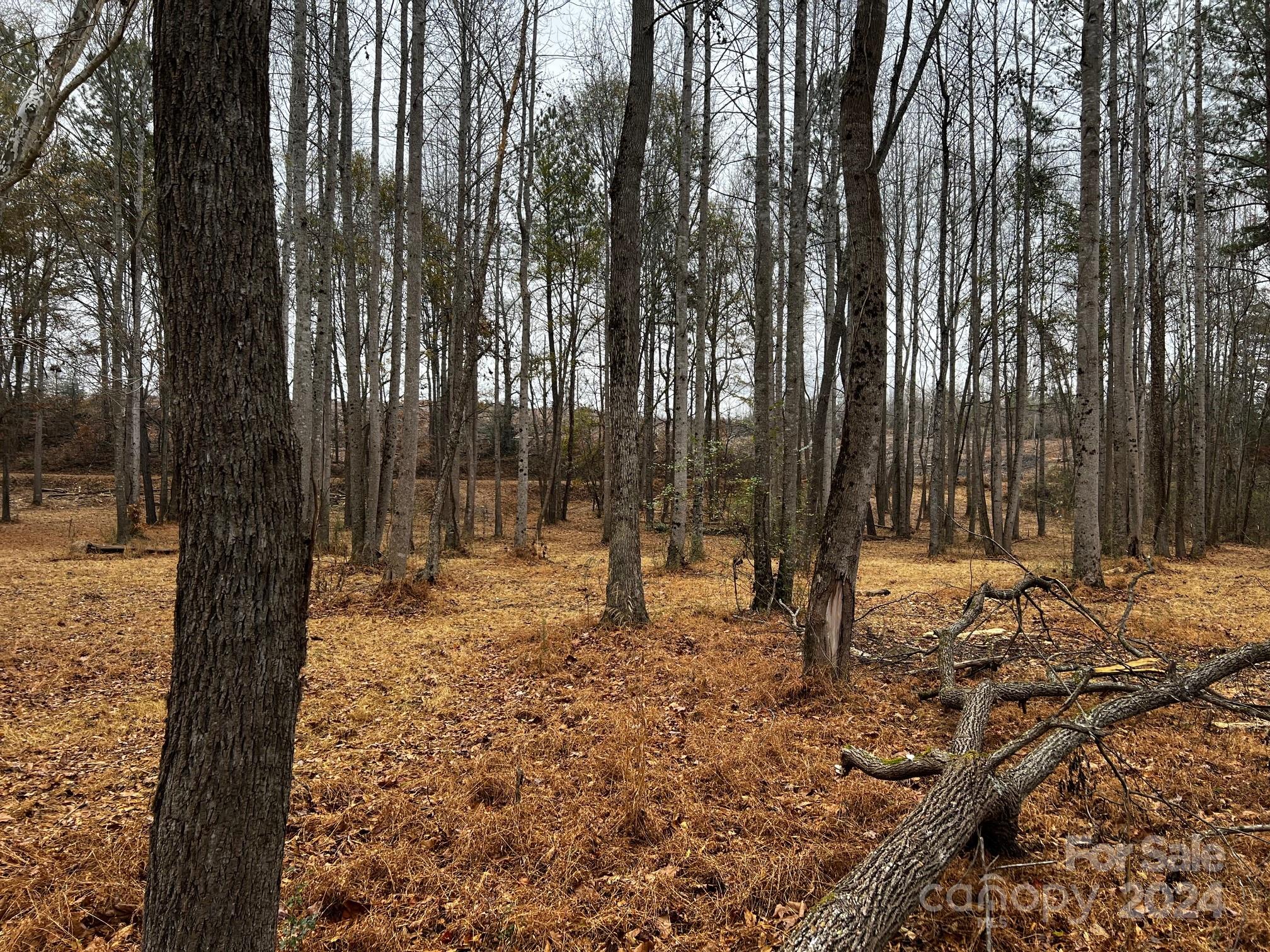 Statesville, North Carolina, 28625, United States, ,4 BathroomsBathrooms,Residential,Active,1770012