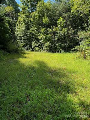 0 GREEN BIRCH DRIVE, BRYSON CITY, NC 28713 - Image 1