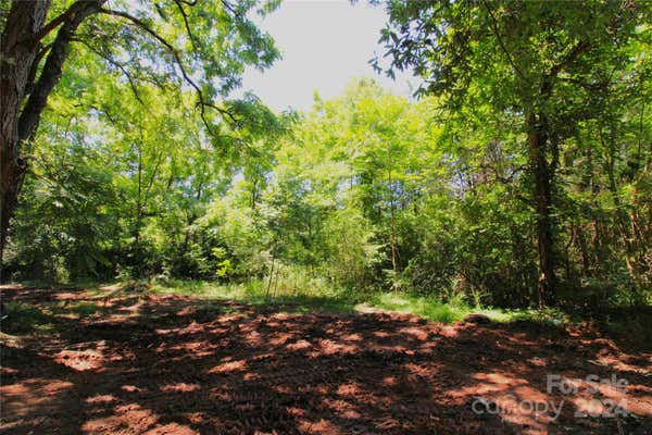 10 +/- ACRES HOSEA STRONG ROAD, CHESTER, SC 29706 - Image 1