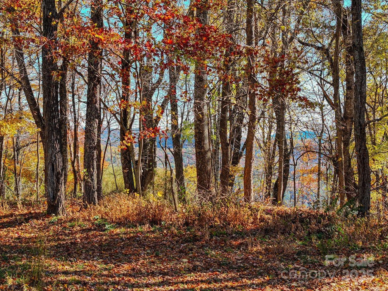 Highlands, North Carolina, 28741, United States, 2 Bedrooms Bedrooms, ,2 BathroomsBathrooms,Residential,Active,1993941