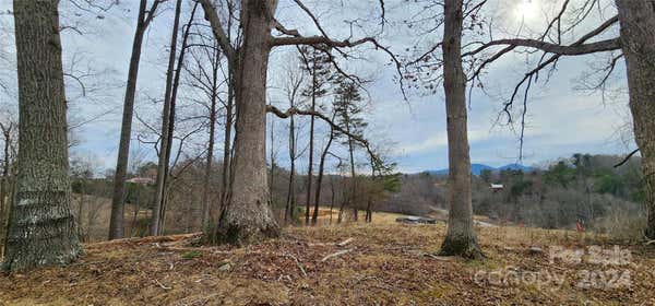 52 SWEET FERN PKWY # 58, ASHEVILLE, NC 28804, photo 2 of 26