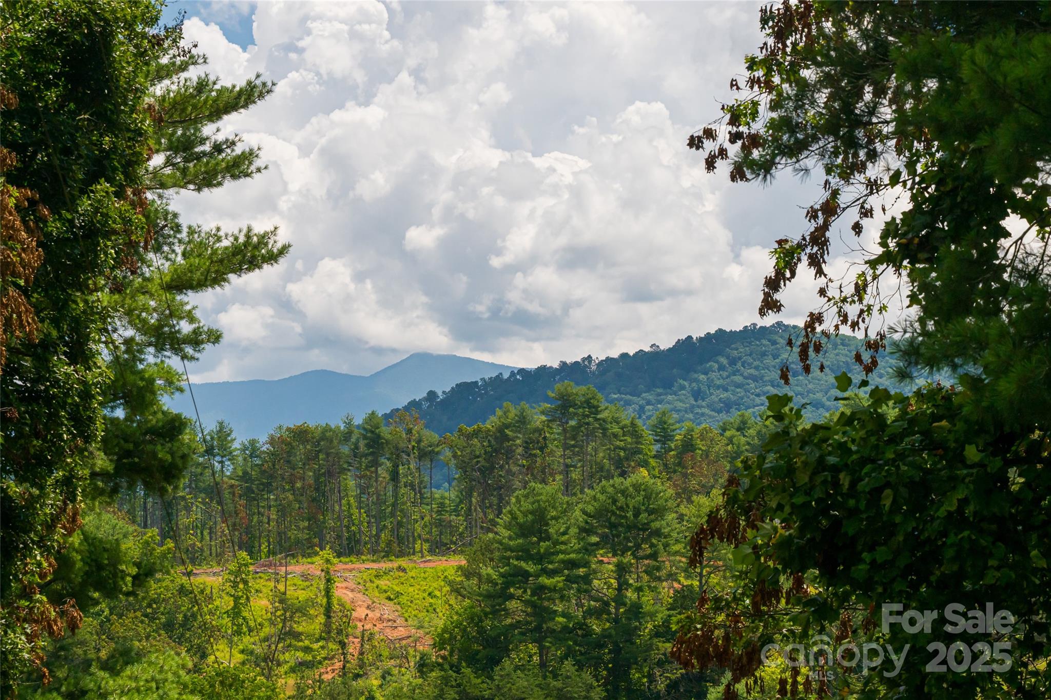 Weaverville, North Carolina, 28787, United States, 3 Bedrooms Bedrooms, ,2 BathroomsBathrooms,Residential,Active,1892411