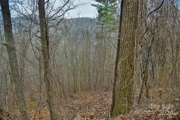 390 VANCE GAP RD # 2, ASHEVILLE, NC 28804 - Image 1