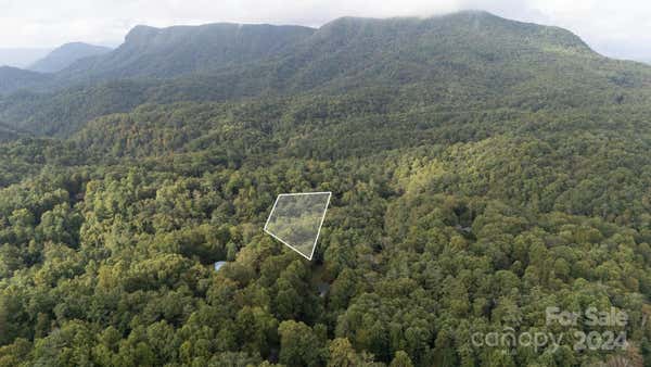 0000 LOGGERS LANE, LINVILLE FALLS, NC 28657 - Image 1