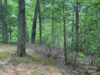 0 BUCKEYE ROAD, LAKE LURE, NC 28467, photo 2 of 20