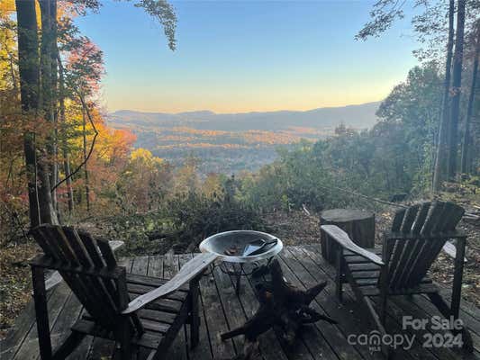 1135 SKYUKA MOUNTAIN RD, COLUMBUS, NC 28722 - Image 1