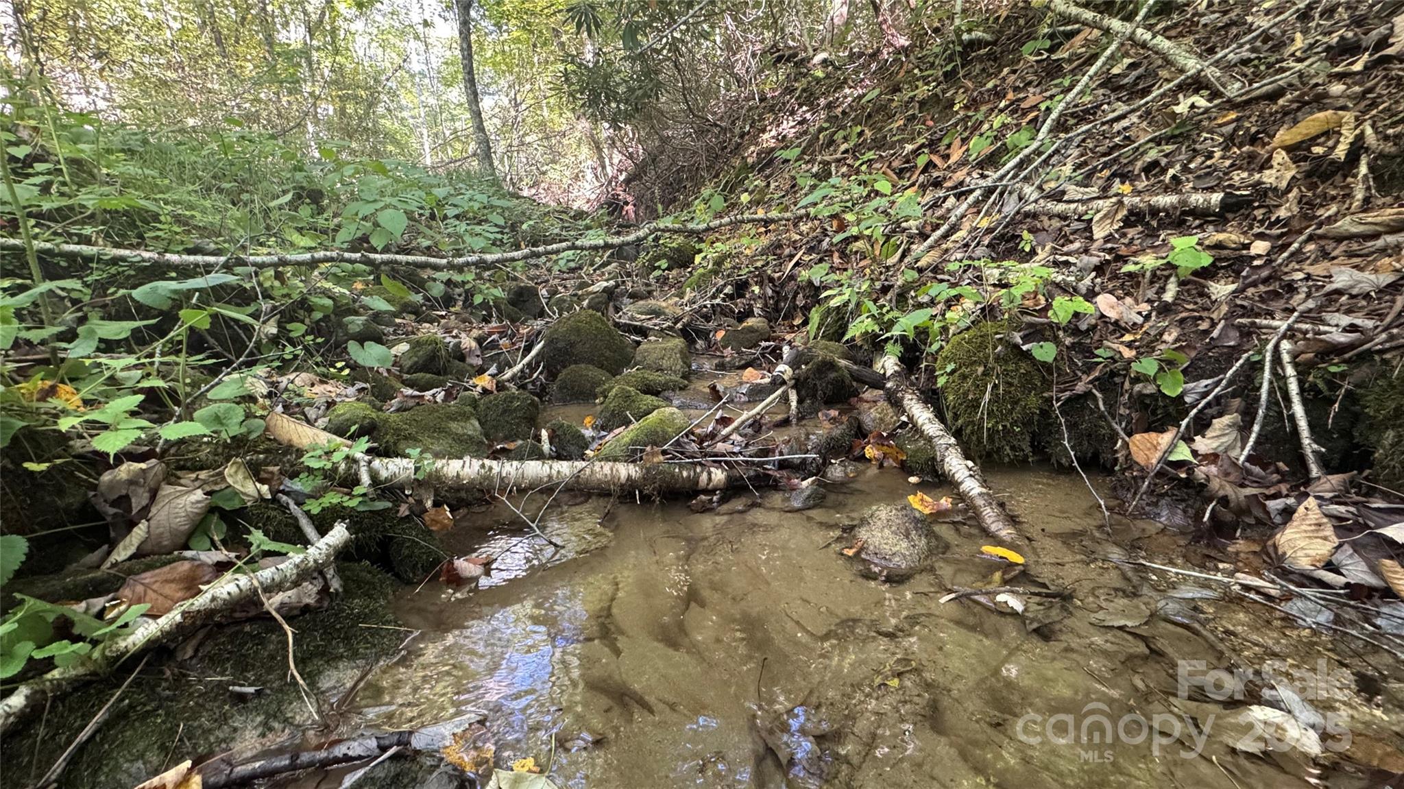 Mars Hill, North Carolina, 28754, United States, 4 Bedrooms Bedrooms, ,4 BathroomsBathrooms,Residential,Active,1960160