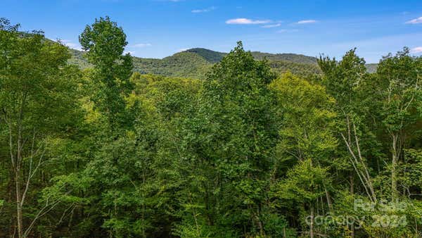 LOT D52 SPRINGWATER ROAD, GLENVILLE, NC 28736 - Image 1