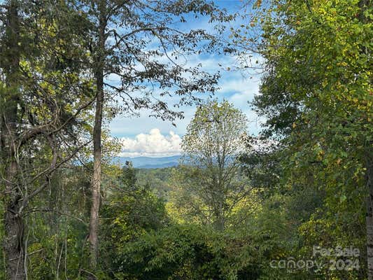 TBD CABIN HOLLOW DRIVE # 11, MARSHALL, NC 28753 - Image 1