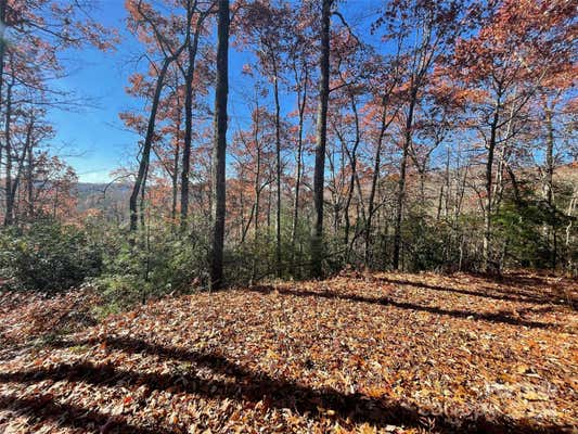 LOT 134 GREEN HOLLOW LANE # 134, BREVARD, NC 28712, photo 2 of 17