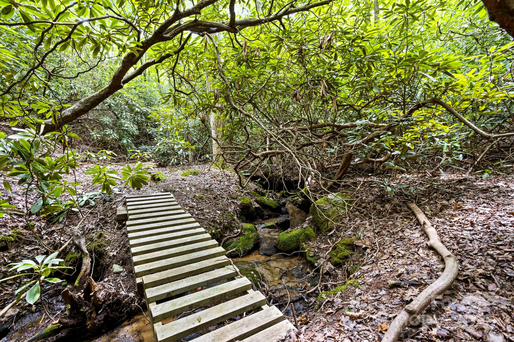 Flat Rock, North Carolina, 28731, United States, ,4 BathroomsBathrooms,Residential,Active,1769703