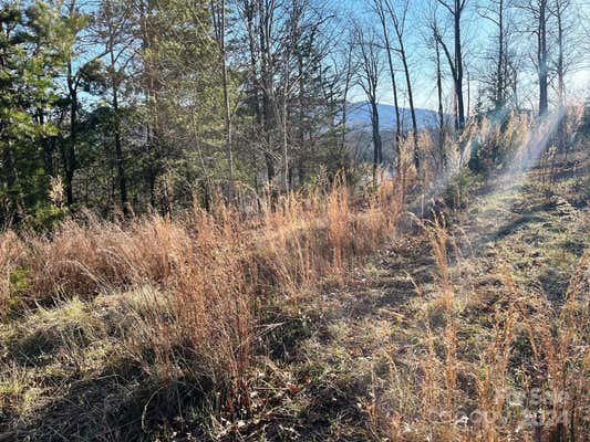 LOT 30 MOUNTAIN PARKWAY, MILL SPRING, NC 28756, photo 5 of 18