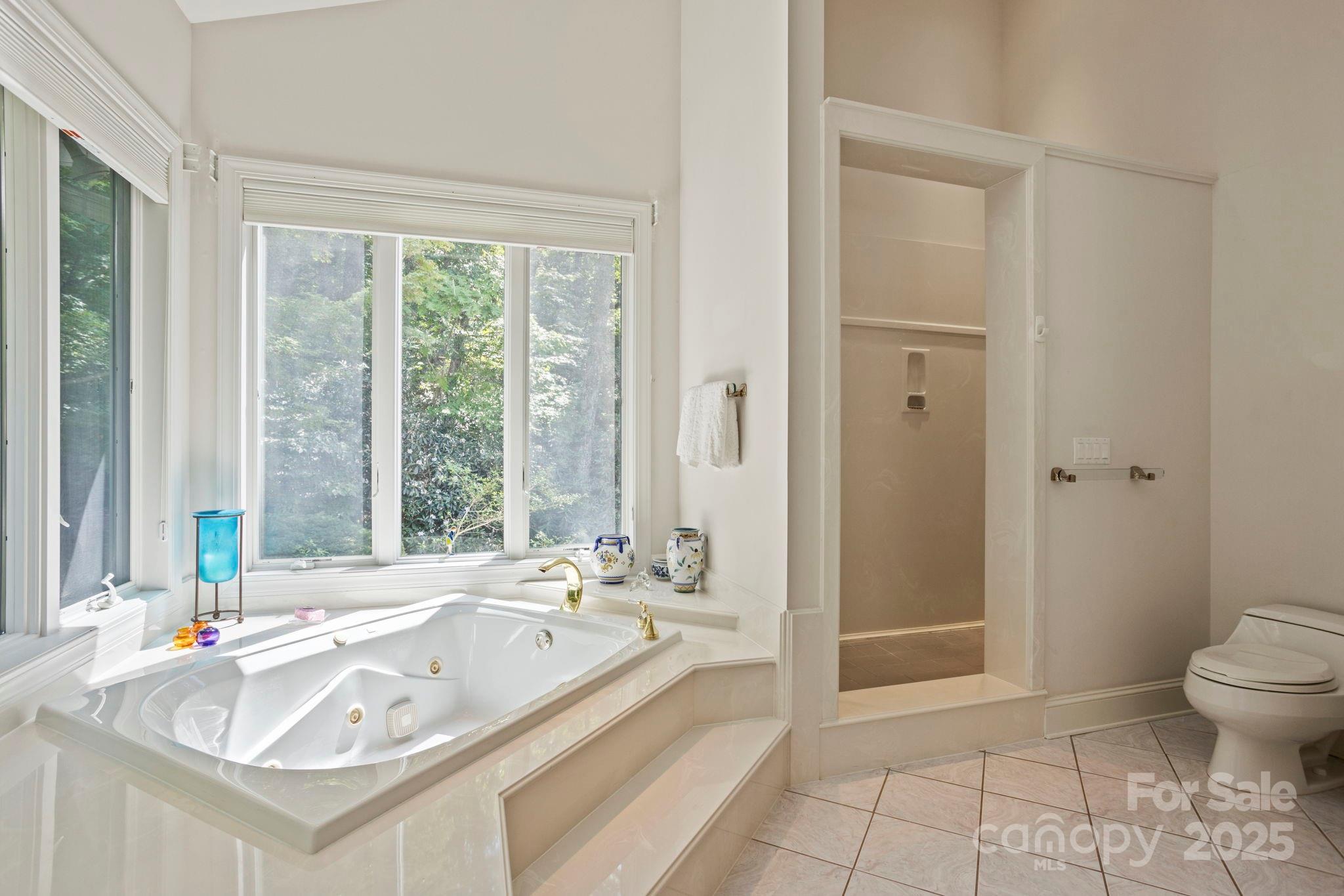 Flat Rock, North Carolina, 28731, United States, 3 Bedrooms Bedrooms, ,7 BathroomsBathrooms,Residential,Active,2007635