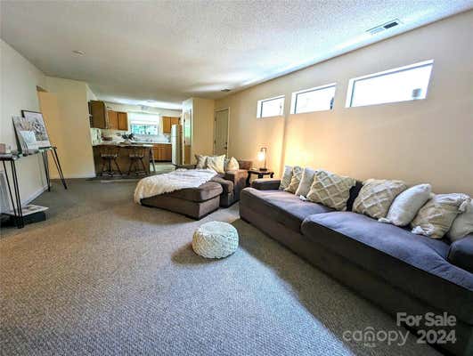 47 LAKE DR APT K15, HENDERSONVILLE, NC 28739 - Image 1