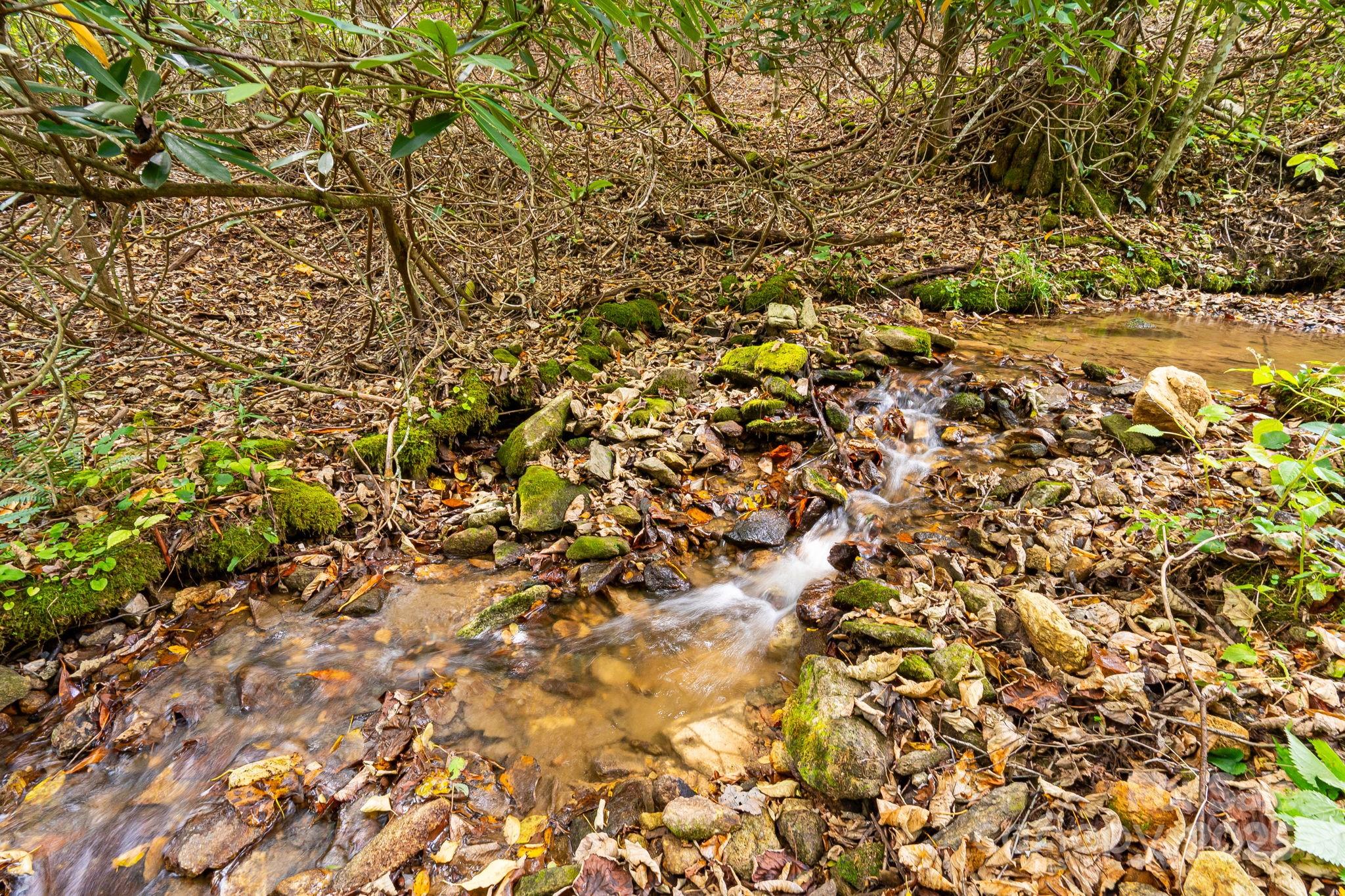 Mars Hill, North Carolina, 28754, United States, 4 Bedrooms Bedrooms, ,4 BathroomsBathrooms,Residential,Active,1960160