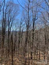 692 OAK RIDGE LANE # 61-LOT-A, MARS HILL, NC 28754 - Image 1