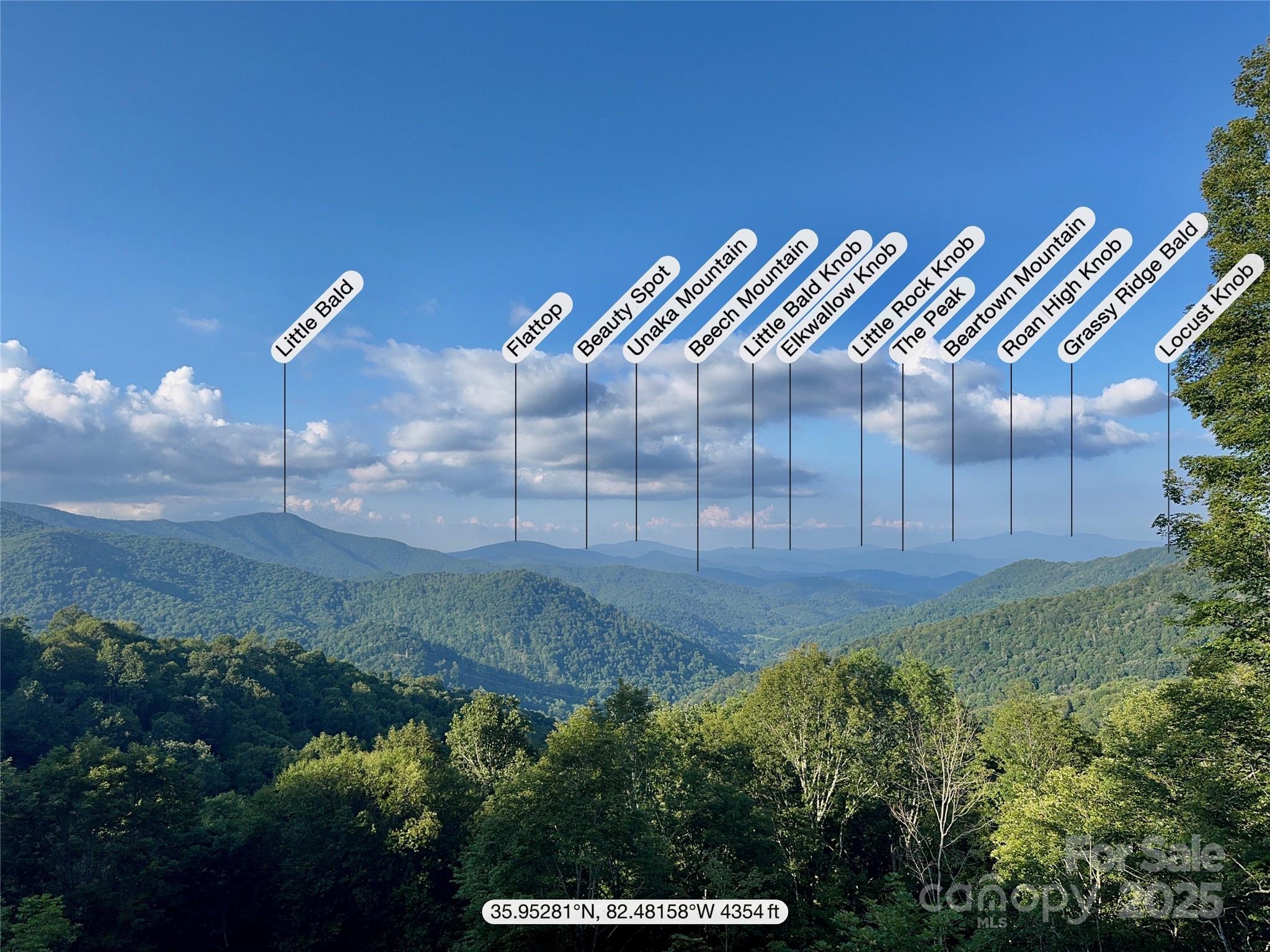 Mars Hill, North Carolina, 28754, United States, 4 Bedrooms Bedrooms, ,6 BathroomsBathrooms,Residential,Active,1996266