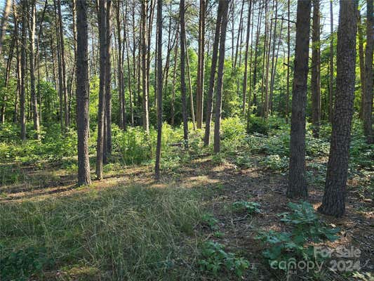 TBD WILDWOOD ROAD, SALISBURY, NC 28146 - Image 1