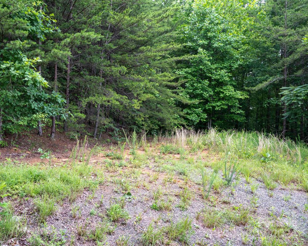 TBD CHICORY DRIVE, MARION, NC 28752, photo 1 of 2