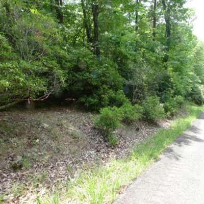 LOT 17 MOUNTAIN VIEW DRIVE # 17, LOWGAP, NC 27024 - Image 1