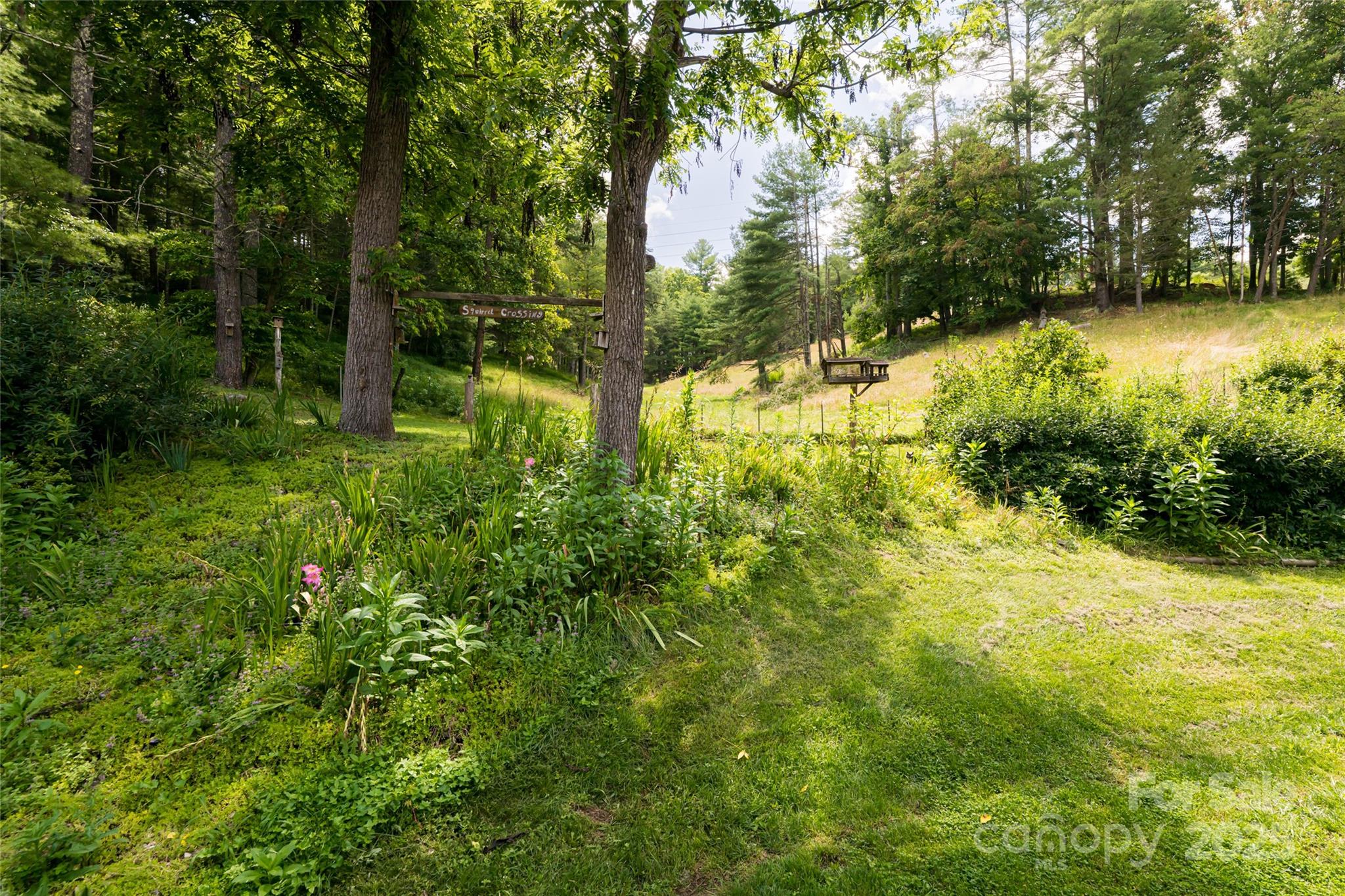 Weaverville, North Carolina, 28787, United States, 3 Bedrooms Bedrooms, ,2 BathroomsBathrooms,Residential,Active,1892411