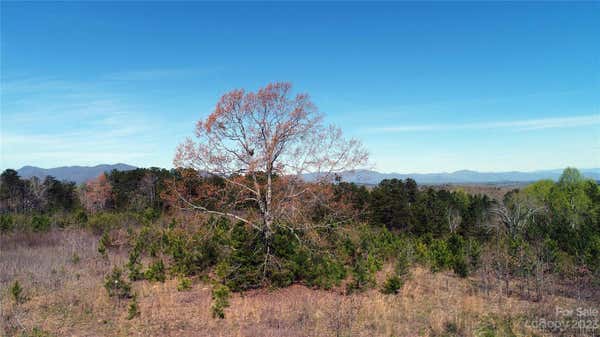 0 NC 9 HIGHWAY S, TRYON, NC 28782, photo 3 of 12