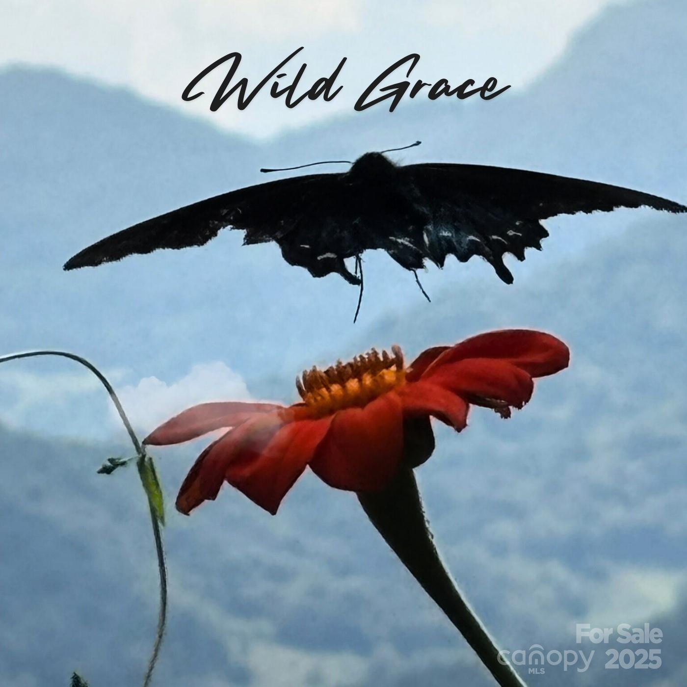 Leicester, North Carolina, 28748, United States, ,5 BathroomsBathrooms,Residential,Active,1769306