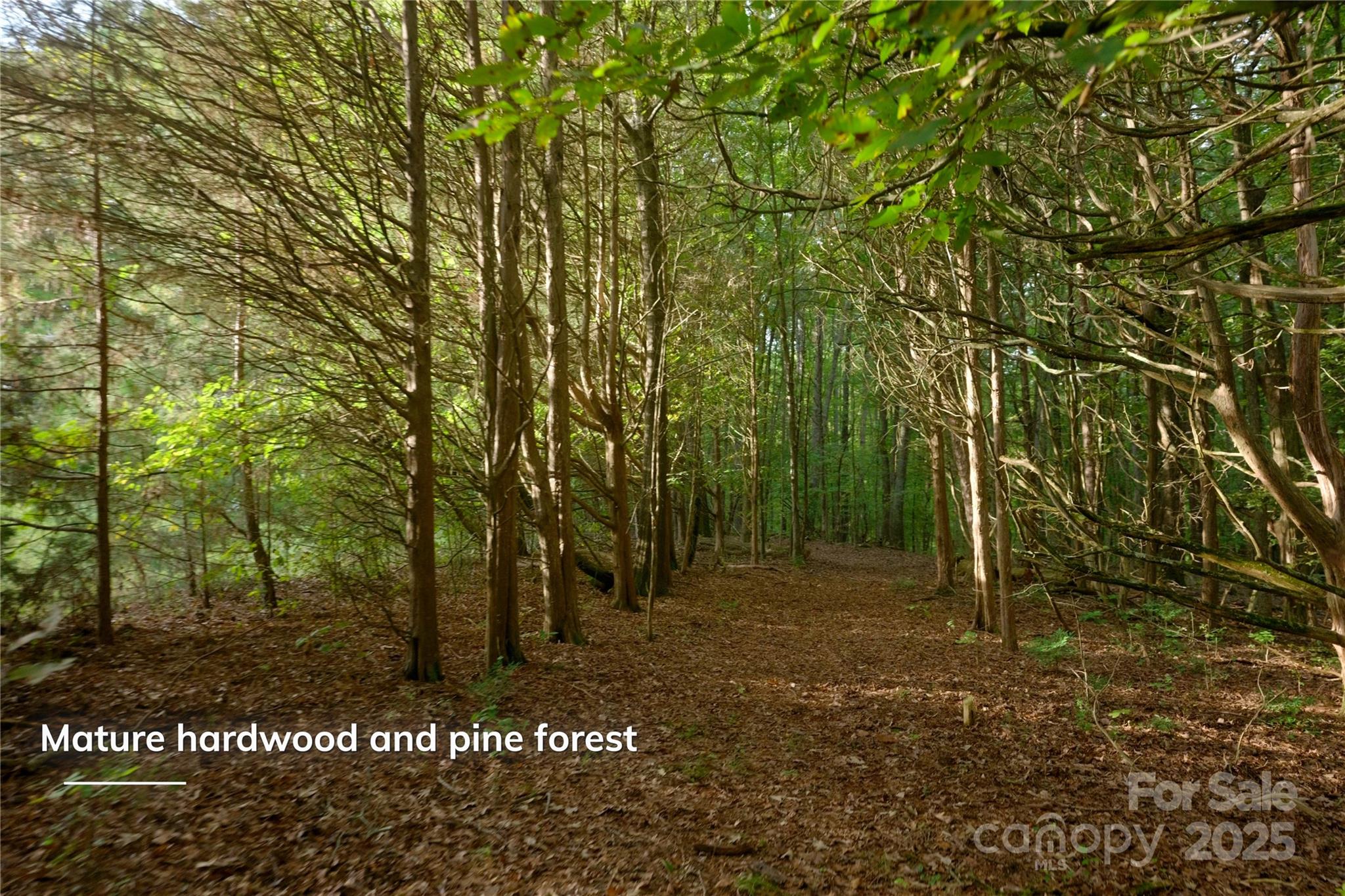 Concord, North Carolina, 28027, United States, 2 Bedrooms Bedrooms, ,1 BathroomBathrooms,Residential,Active,1954431