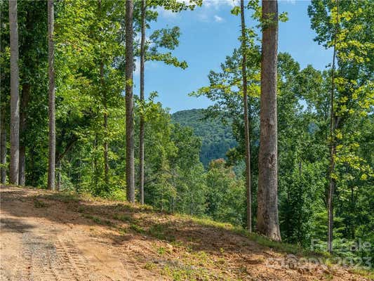 LOT 7 LOCUST ROUGH MOUNTAIN ROAD, BURNSVILLE, NC 28714, photo 4 of 29