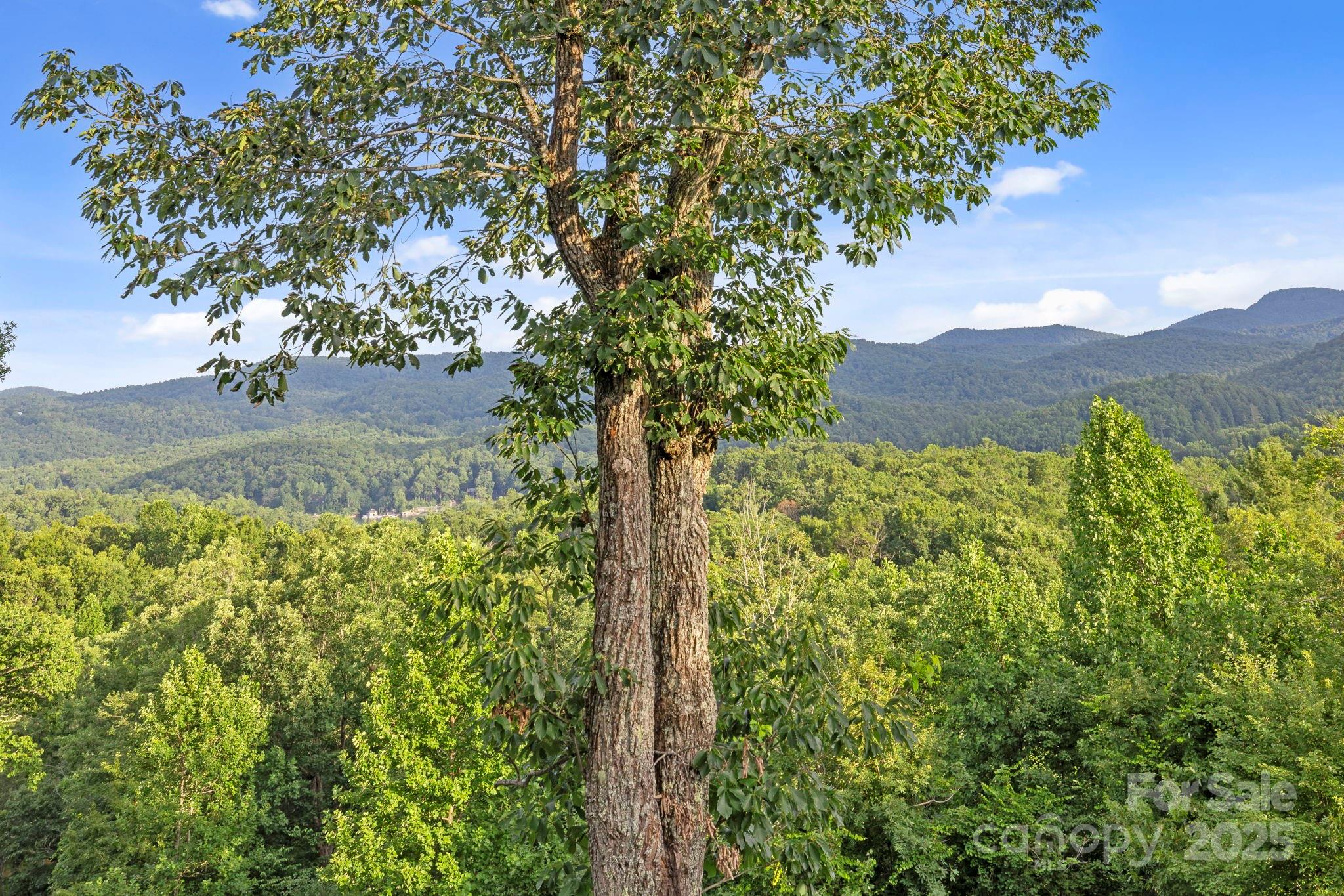 Zirconia, North Carolina, 28790, United States, 3 Bedrooms Bedrooms, ,3 BathroomsBathrooms,Residential,Active,1756946