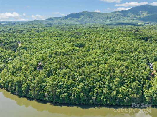 LOT 62 LAKE ADGER PARKWAY, MILL SPRING, NC 28756, photo 4 of 11