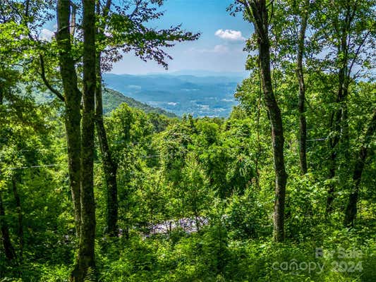 320 AUTUMN RIDGE LN # 74, HENDERSONVILLE, NC 28792 - Image 1