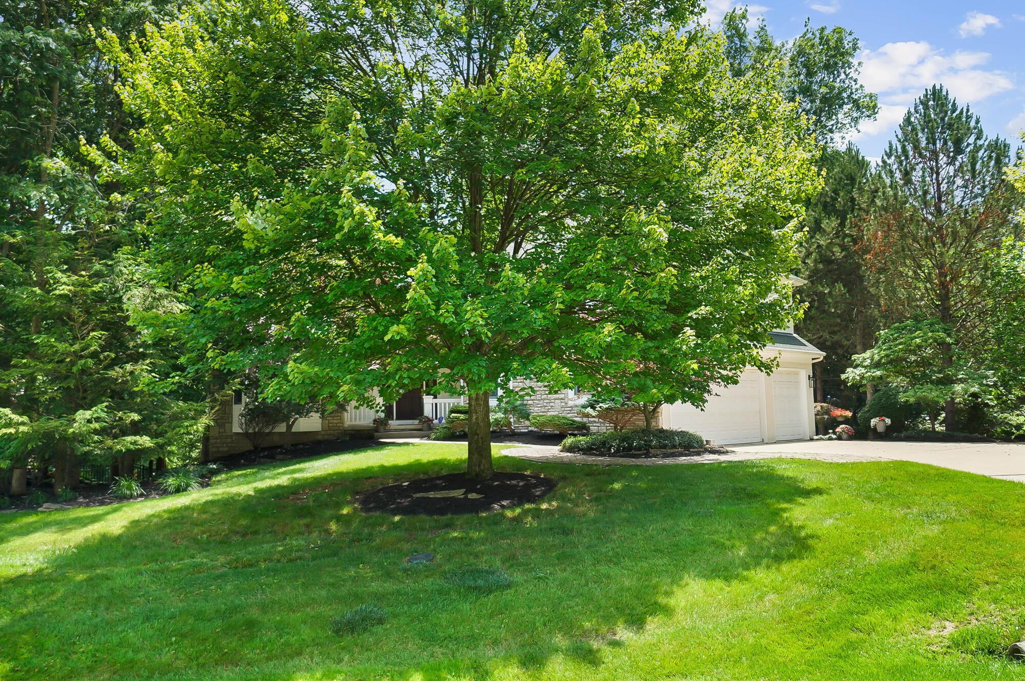 Powell, Ohio, 43065, United States, 5 Bedrooms Bedrooms, ,5 BathroomsBathrooms,Residential,Active,1871632