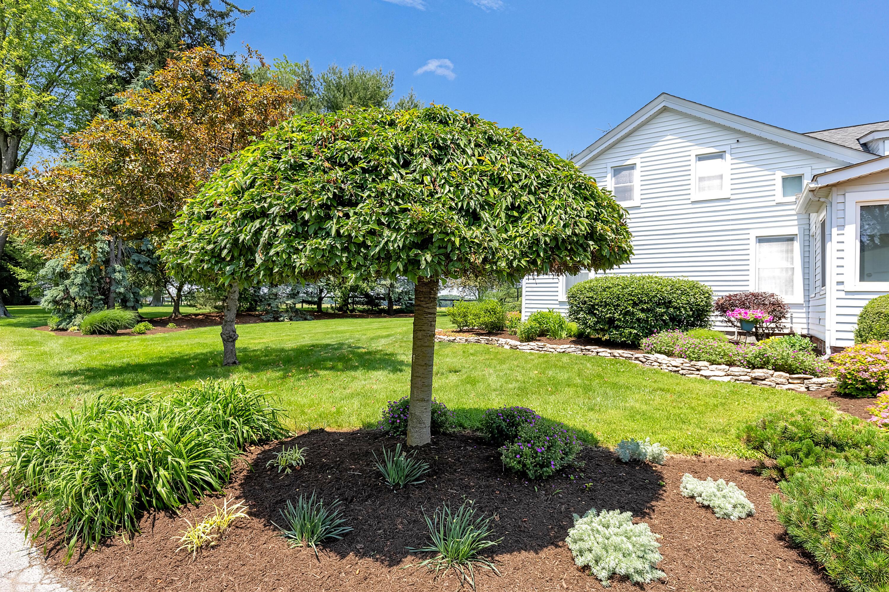 Centerburg, Ohio, 43011, United States, ,3 BathroomsBathrooms,Residential,Active,1853278