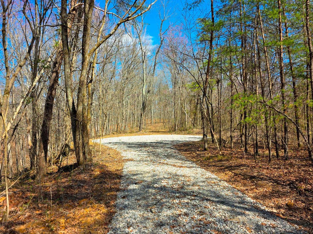 0 EDMUNSON ROAD Unit (TRACT 7 AT BIG TIMBER)  