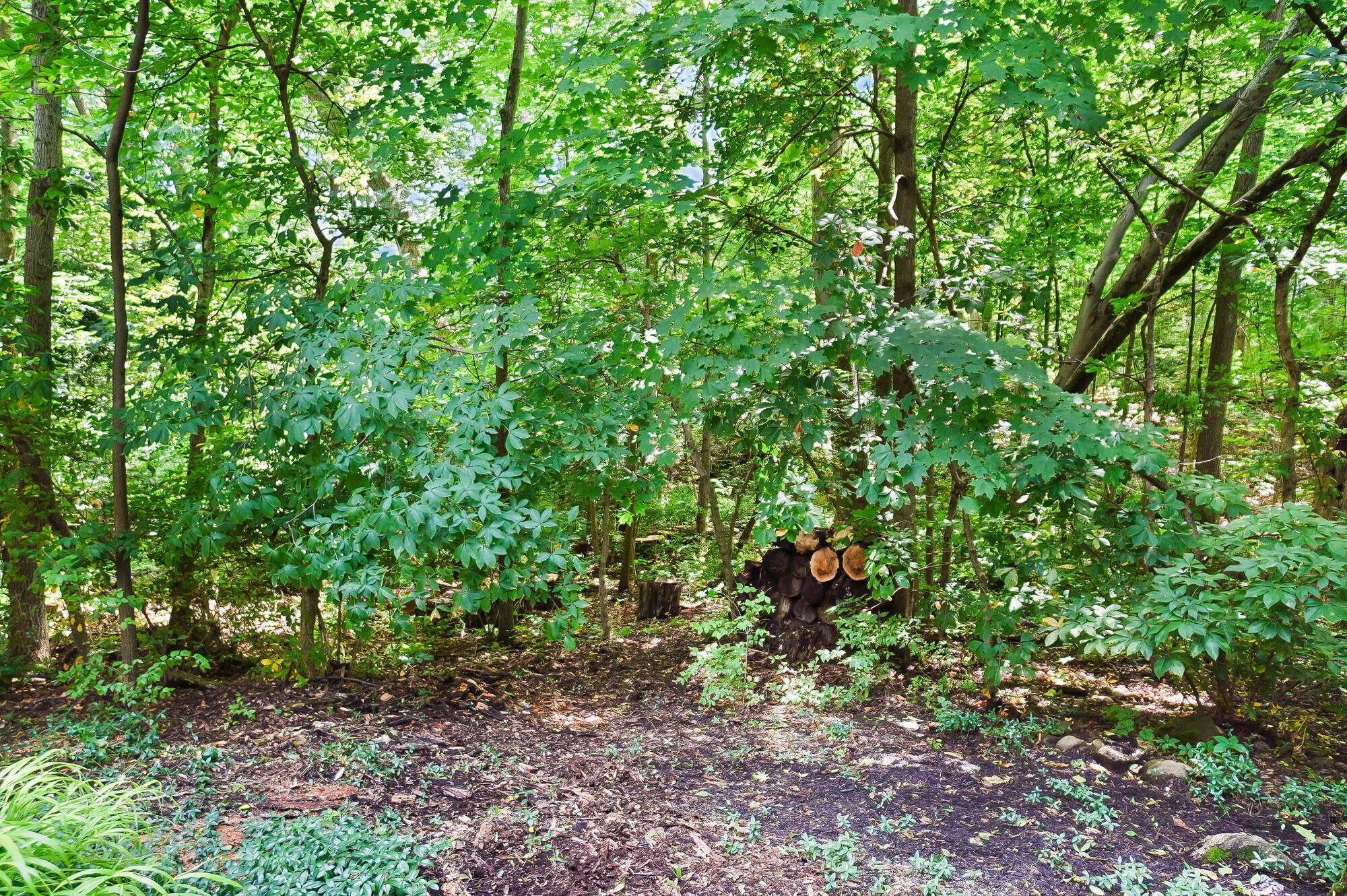 Powell, Ohio, 43065, United States, 5 Bedrooms Bedrooms, ,5 BathroomsBathrooms,Residential,Active,1871632