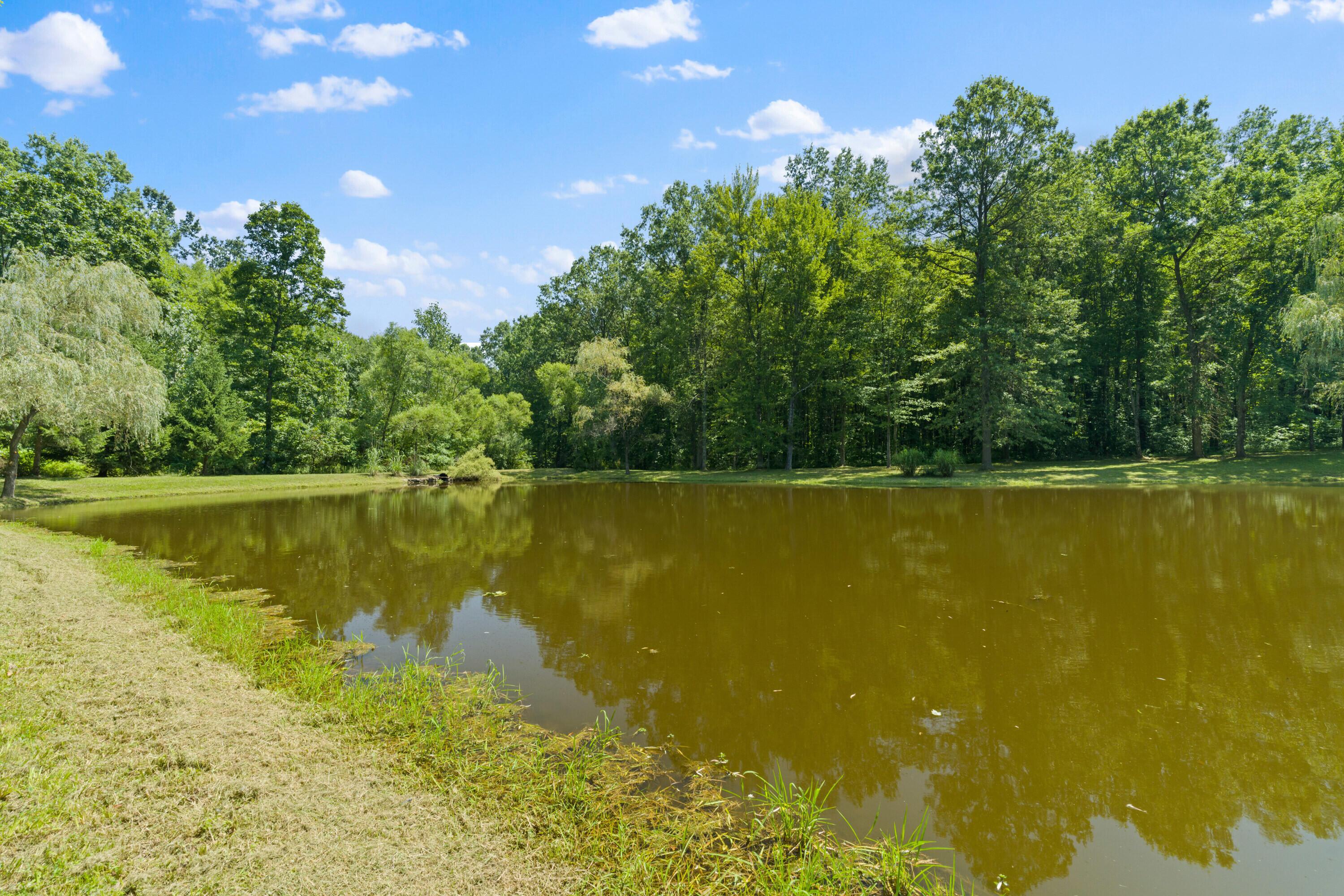 Sunbury, Ohio, 43074, United States, 5 Bedrooms Bedrooms, ,7 BathroomsBathrooms,Residential,Active,1912834