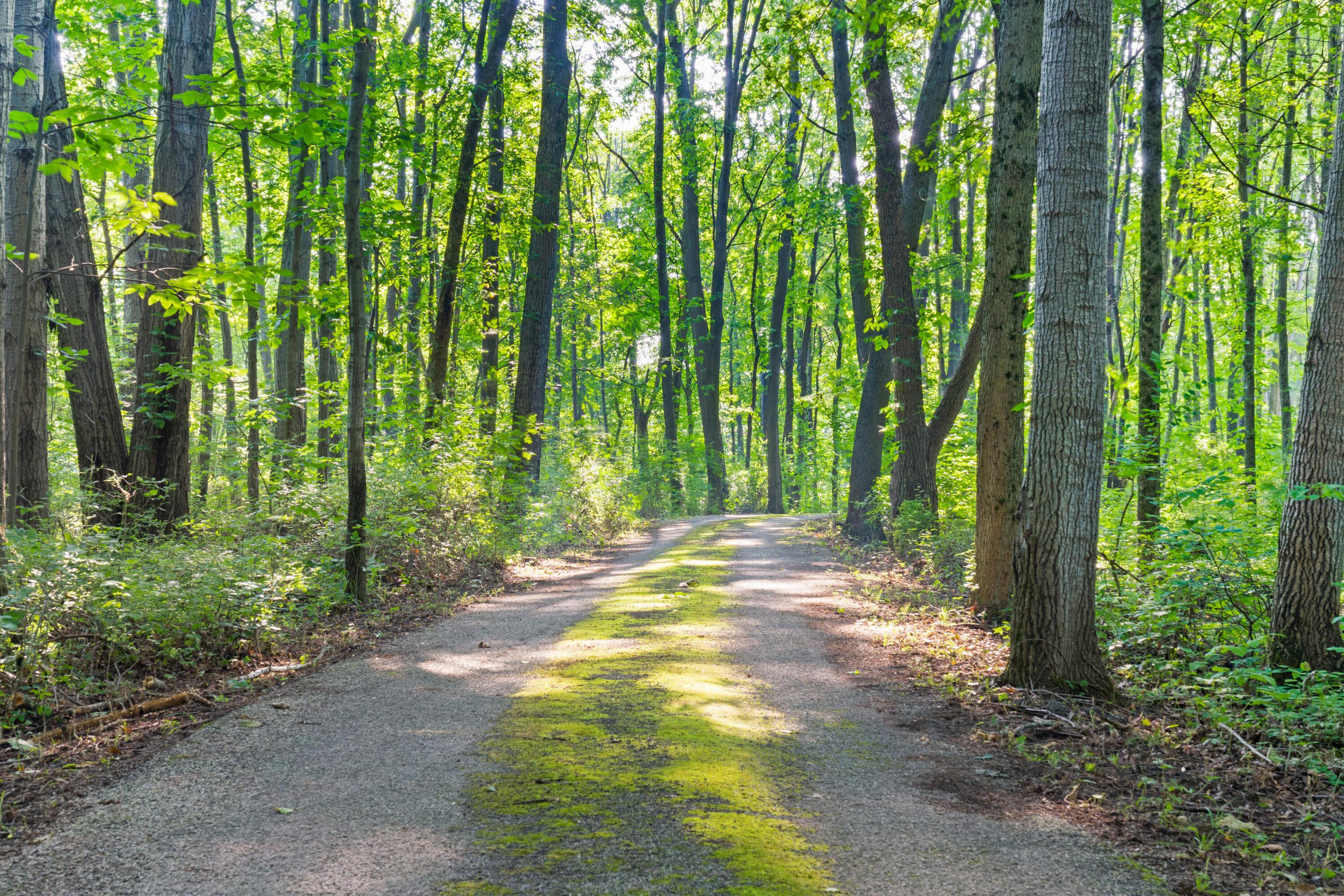 Sunbury, Ohio, 43074, United States, 5 Bedrooms Bedrooms, ,7 BathroomsBathrooms,Residential,Active,1912834