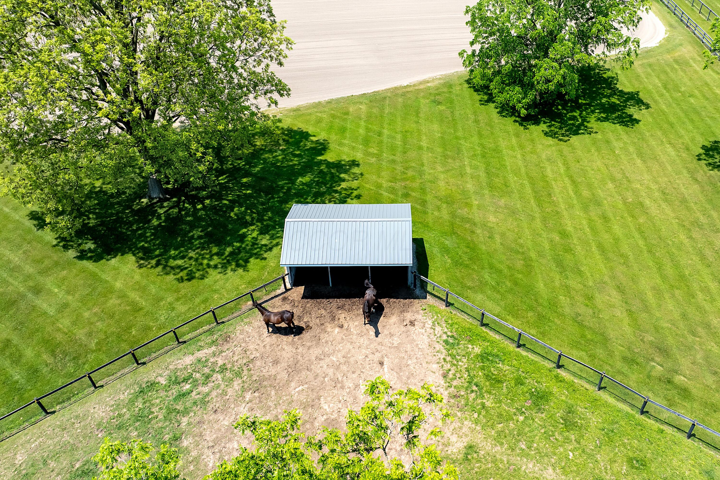 Centerburg, Ohio, 43011, United States, ,3 BathroomsBathrooms,Residential,Active,1853278