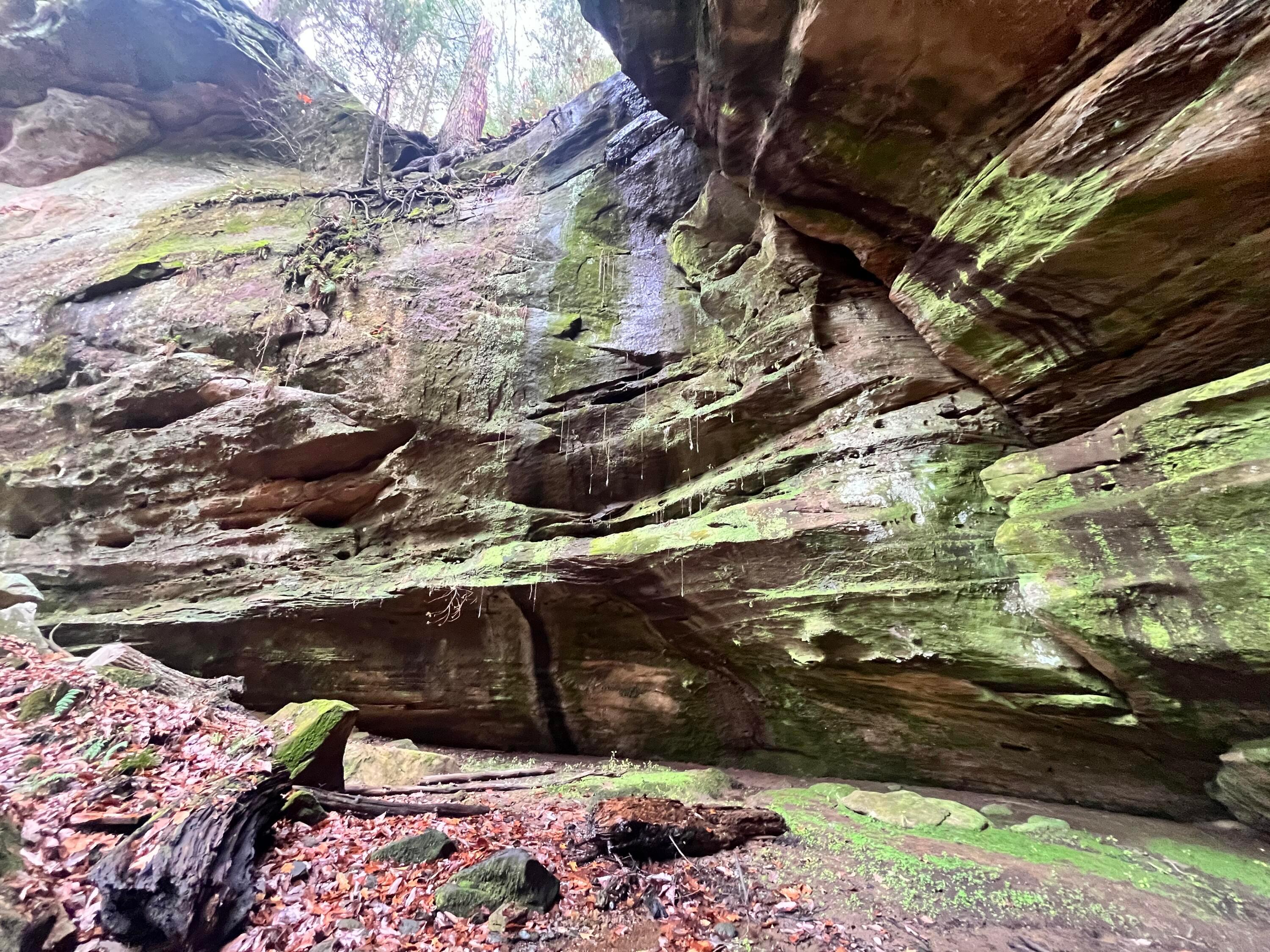 Rockbridge, Ohio, 43149, United States, 3 Bedrooms Bedrooms, ,4 BathroomsBathrooms,Residential,Active,1992551