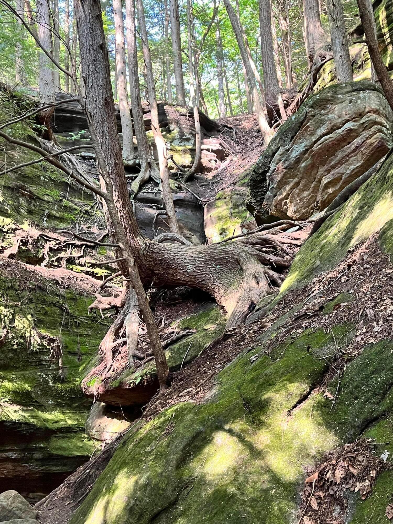 Rockbridge, Ohio, 43149, United States, 3 Bedrooms Bedrooms, ,4 BathroomsBathrooms,Residential,Active,1992551