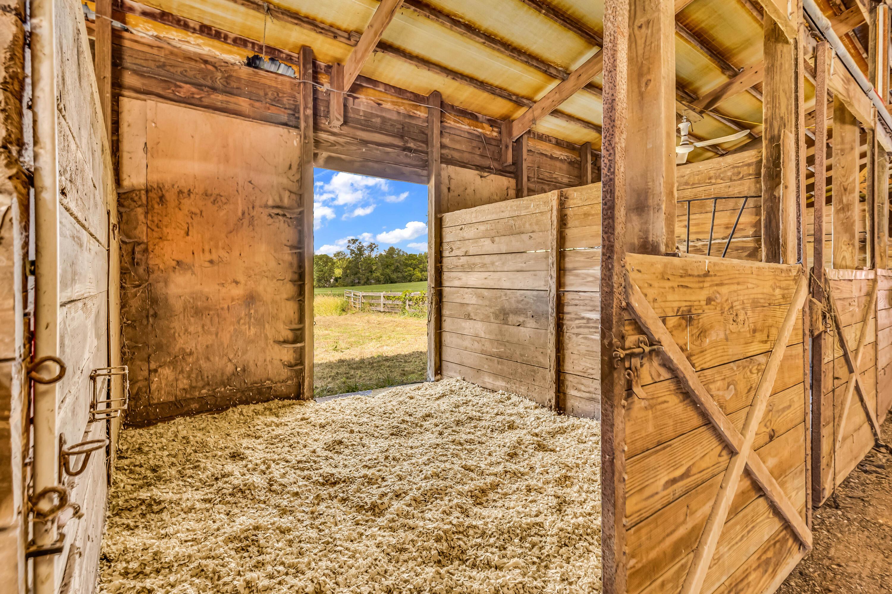 Centerburg, Ohio, 43011, United States, 5 Bedrooms Bedrooms, ,5 BathroomsBathrooms,Residential,Active,1934755