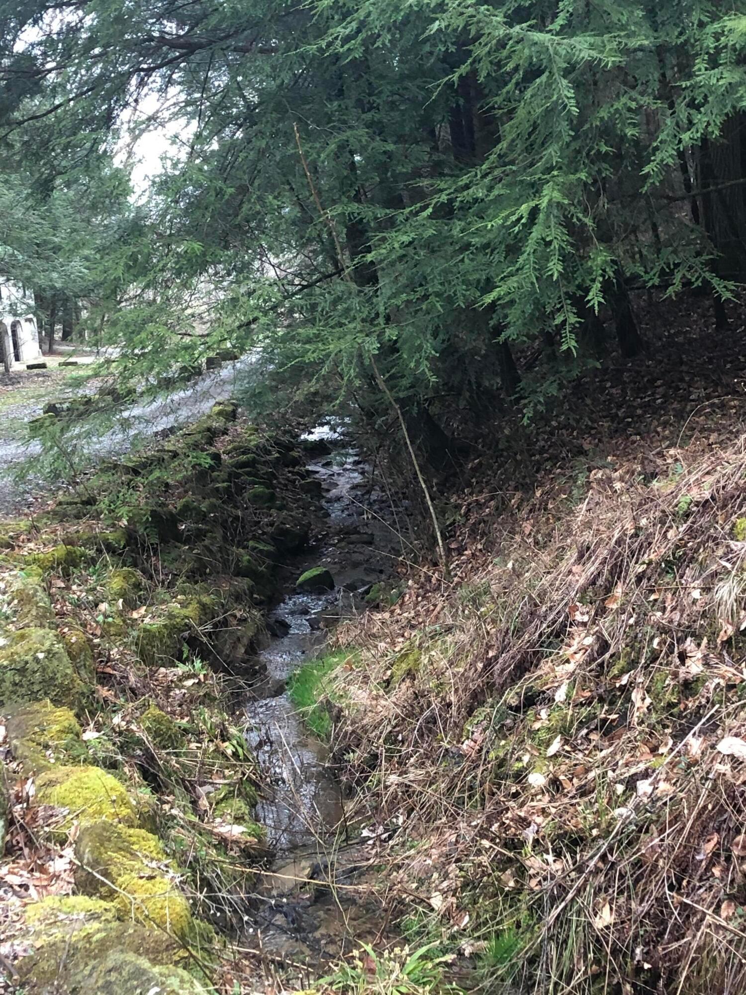 Rockbridge, Ohio, 43149, United States, 3 Bedrooms Bedrooms, ,4 BathroomsBathrooms,Residential,Active,1992551