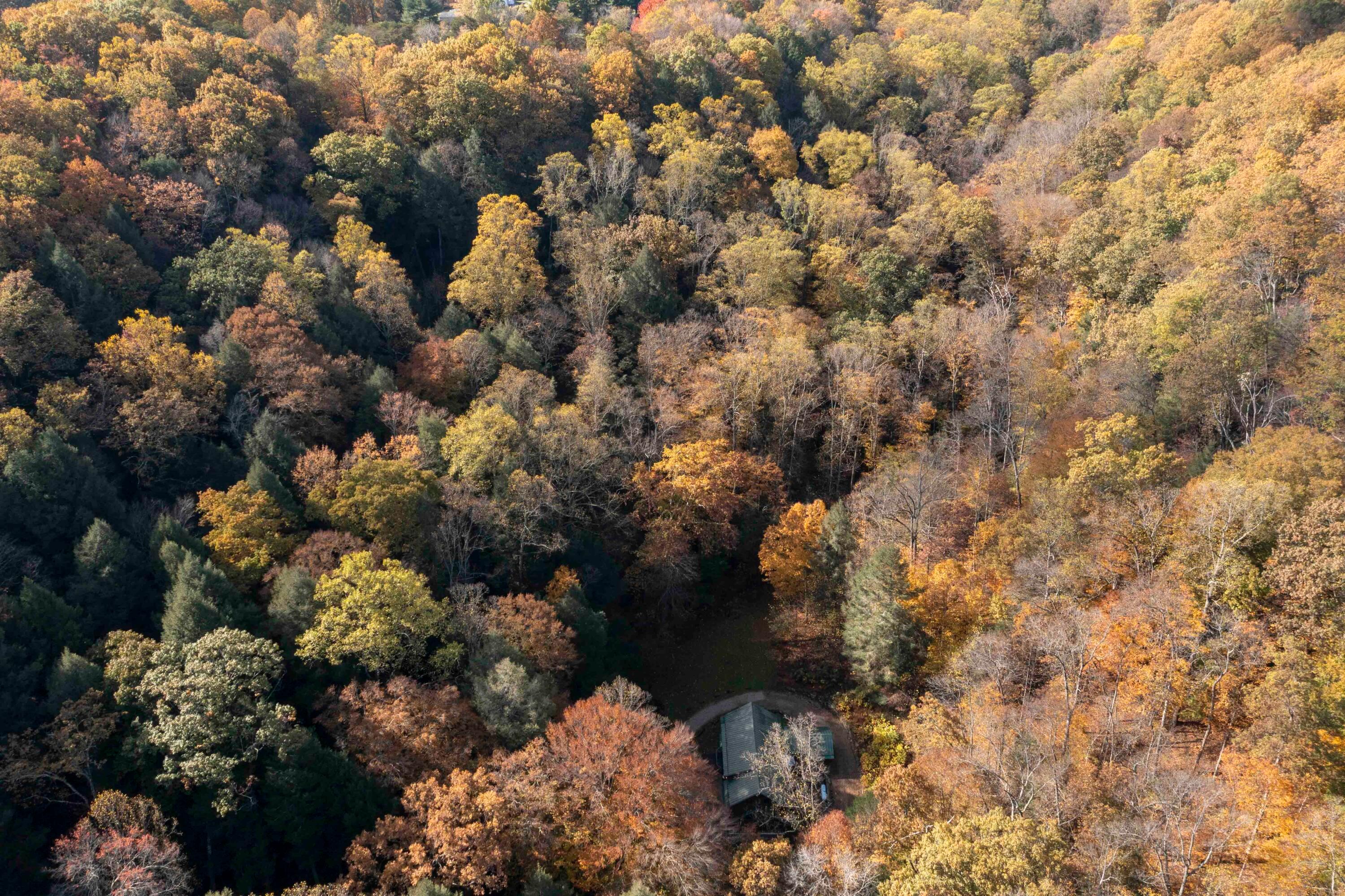 Rockbridge, Ohio, 43149, United States, 3 Bedrooms Bedrooms, ,4 BathroomsBathrooms,Residential,Active,1992551