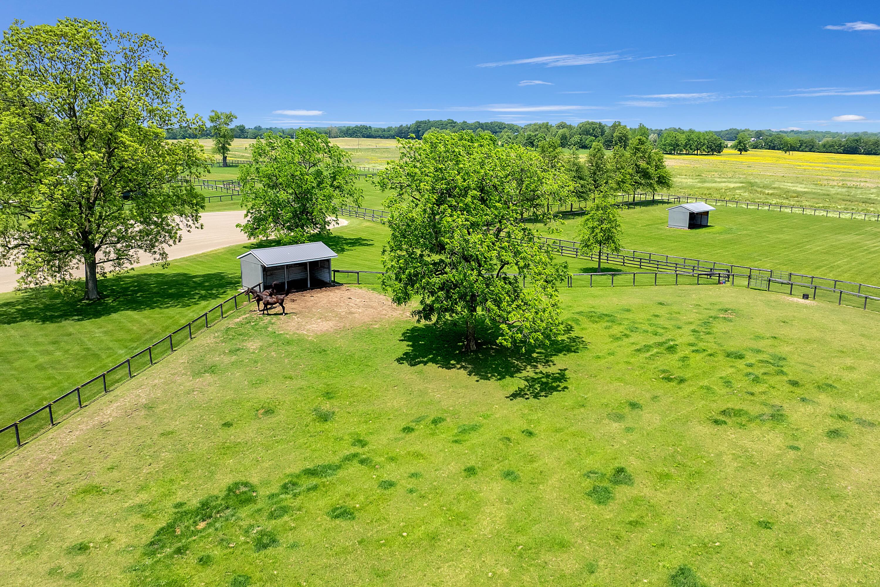 Centerburg, Ohio, 43011, United States, ,3 BathroomsBathrooms,Residential,Active,1853278